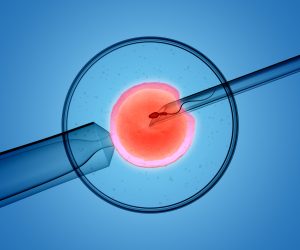 Understanding IVF